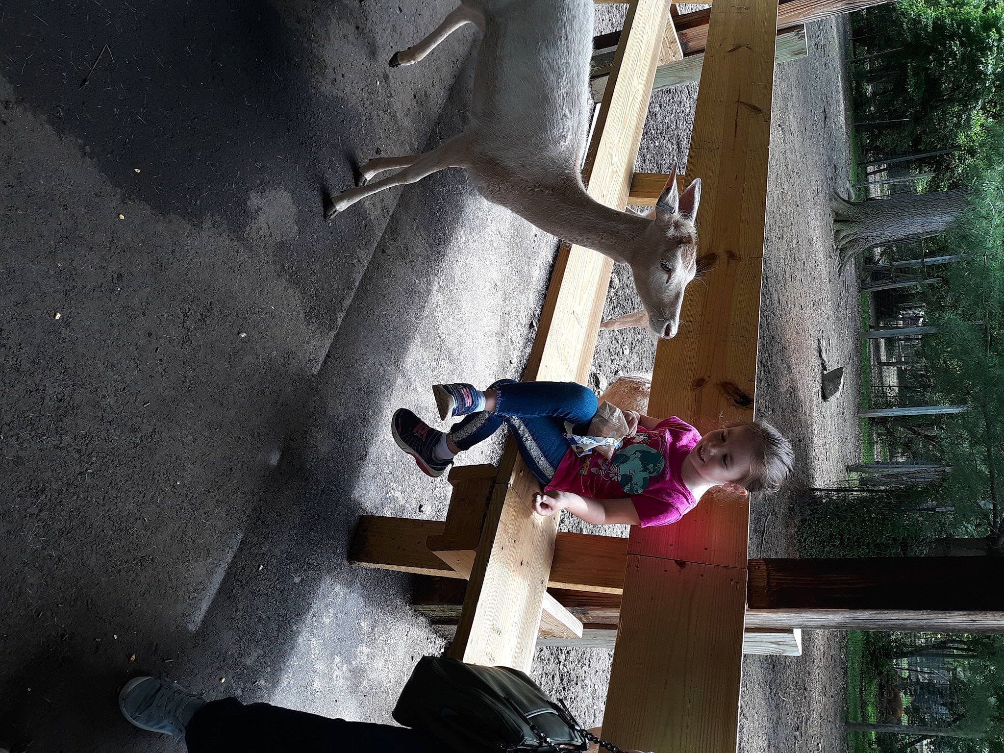 Sophia is registered to the contest to win money with this photo: adventure, black, cement, concrete, fun, leisure, line, magenta, person, plant, purple, recreation, room, shadow, space, toddler, tree, visual_arts, wood, world