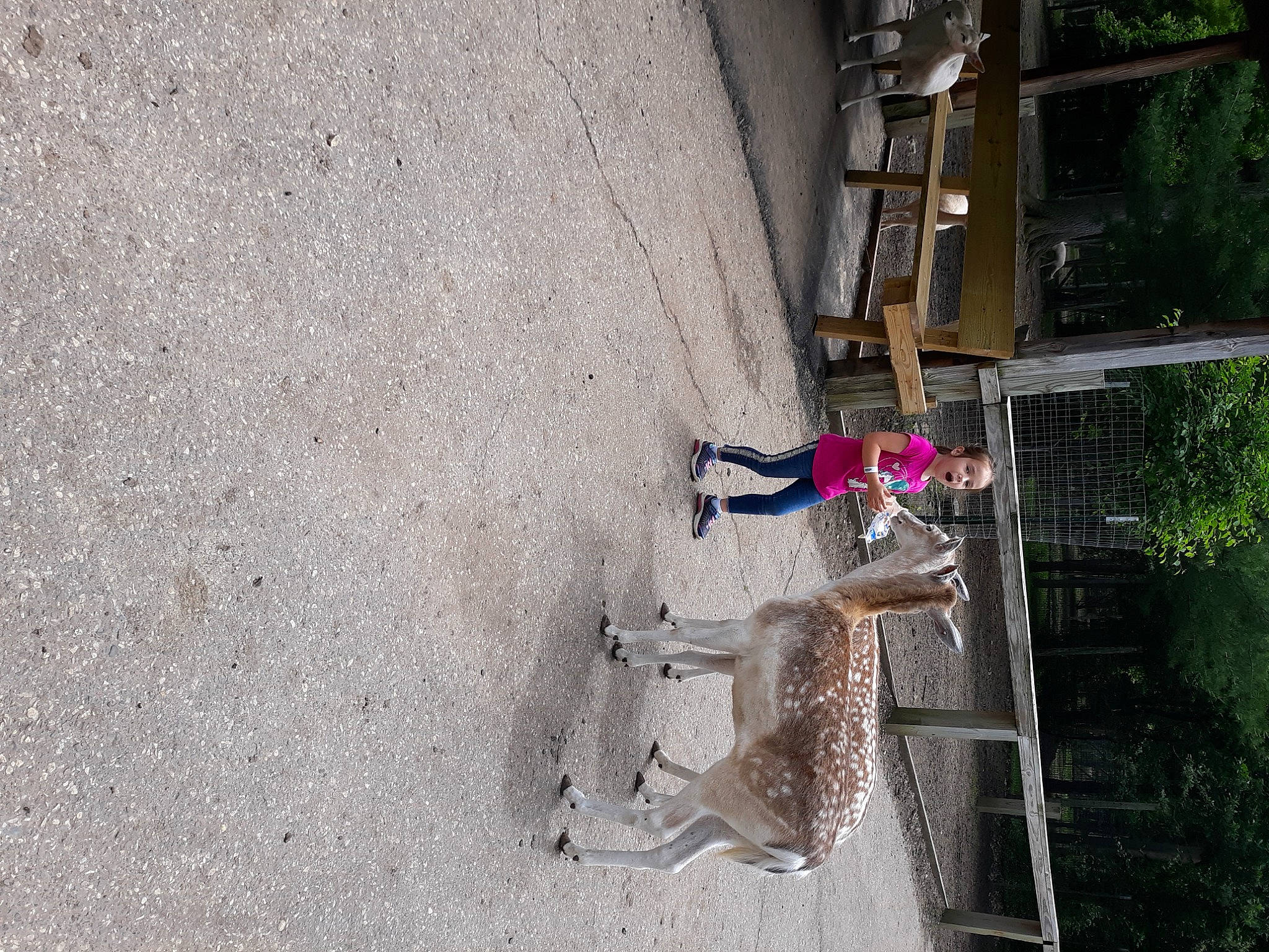 Sophia is registered to the contest to win money with this photo: asphalt, building, cement, concrete, facade, fun, house, landscape, person, plant, road_surface, sidewalk, tree, window, wood