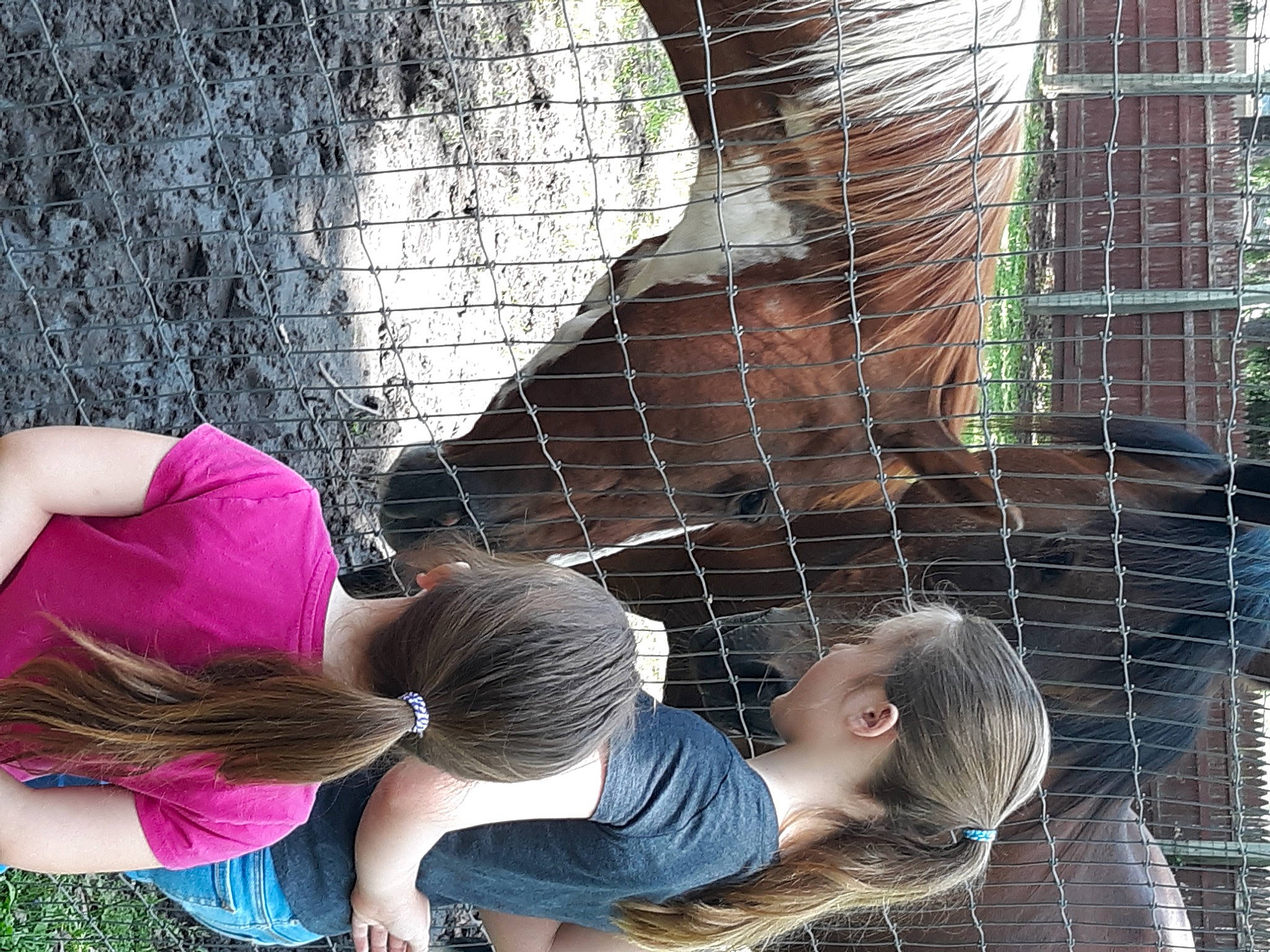 Isabella is registered to the contest to win money with this photo: animal_shelter, child, curious, fun, fur, hair, leisure, mammal, mesh, person, photograph, play, recreation, snapshot, t_shirt, toddler, vertebrate