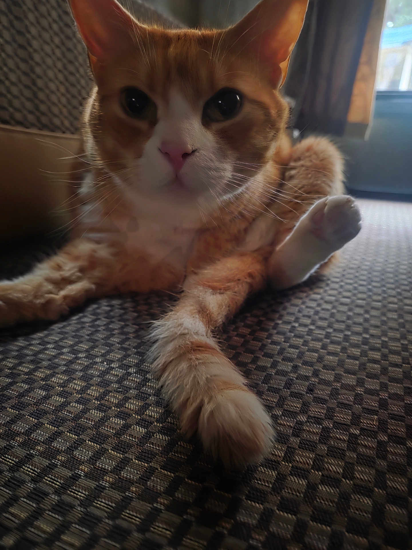 Duke