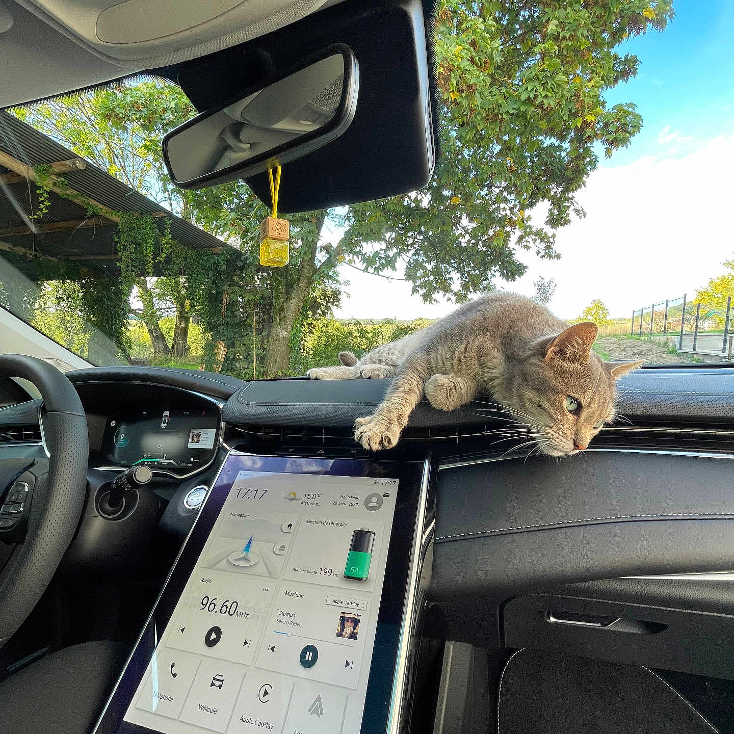 Dartagnant a rejoint le concours — aidez-le/la à gagner de superbes lots ! animal, car_interior, cat, dashboard, daytime, feline, front_seat, greenery, leaves, modern_car, nature, pet, relaxed_cat, resting, sunlight, technology, touchscreen, tree, vehicle, window
