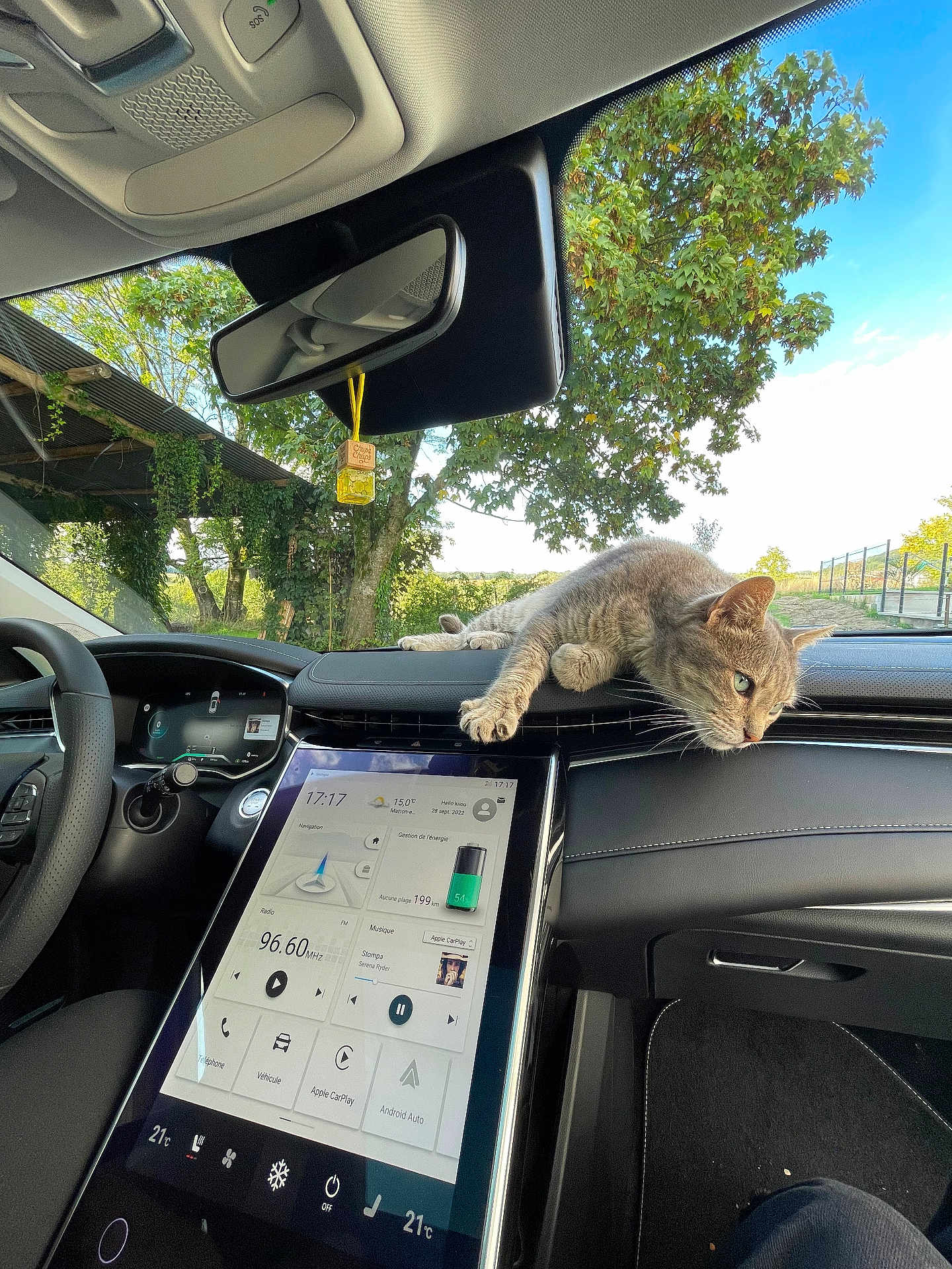 Dartagnant a rejoint le concours — aidez-le/la à gagner de superbes lots ! cat, dashboard, car_interior, touchscreen, modern_car, greenery, tree, sunlight, relaxed_cat, window, technology, vehicle, pet, animal, leaves, nature, daytime, resting, feline, front_seat