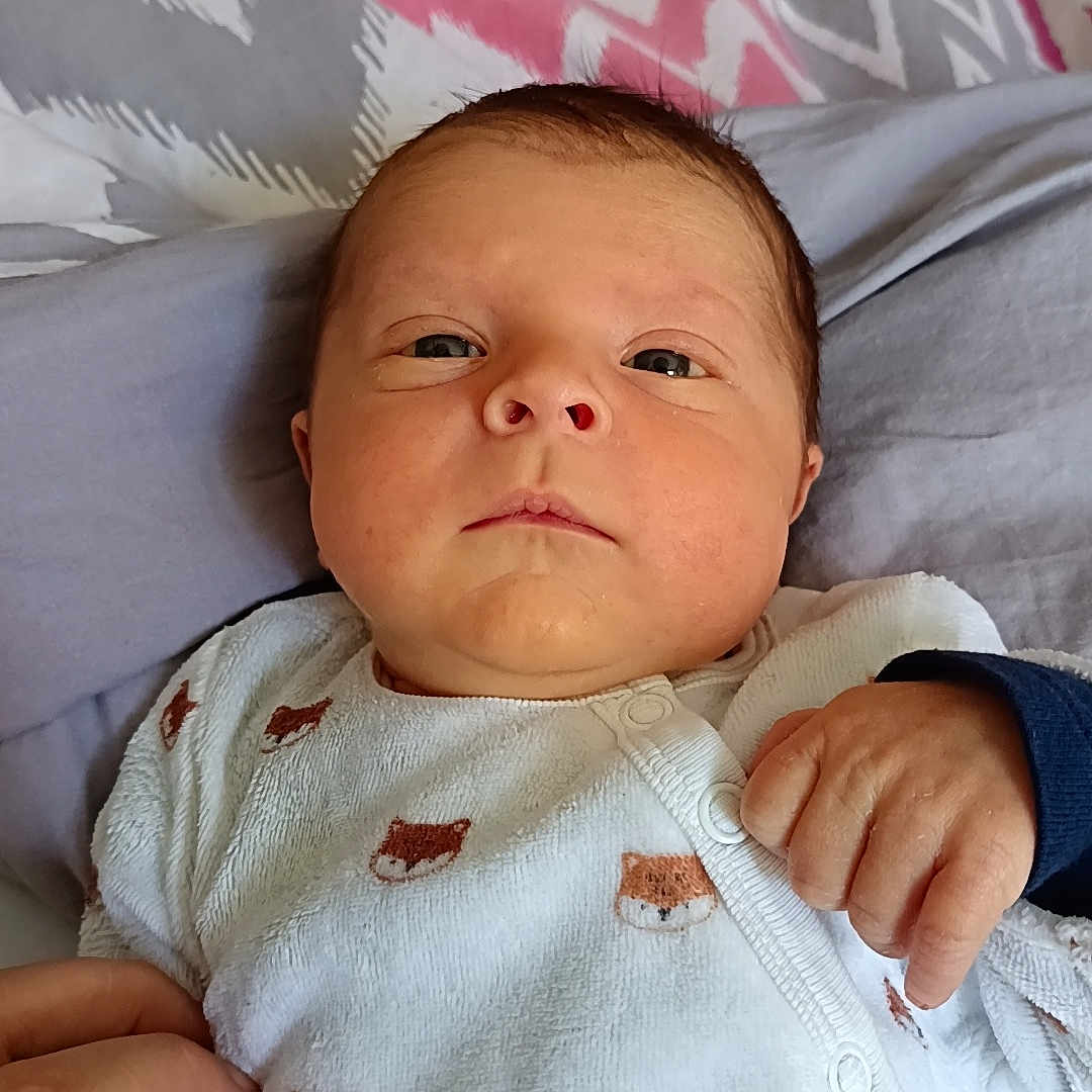 Lissandro a rejoint le concours — aidez-le/la à gagner de superbes lots ! baby, infant, hand, onesie, fox_print, blanket, person, face, skin, sleepwear, cute, newborn, holding_hand, indoors, portrait, child, young, resting, expression, cozy