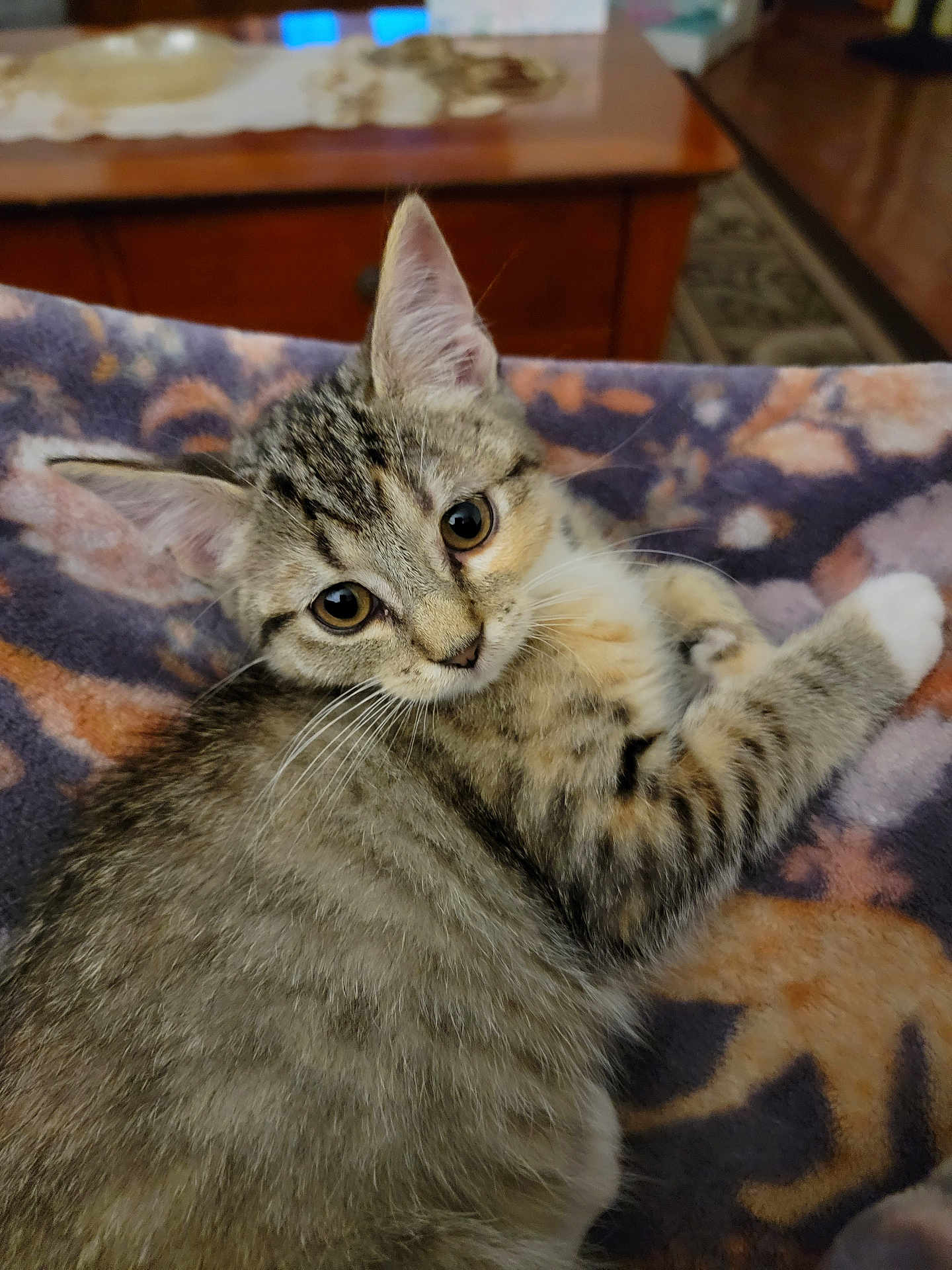 Xena