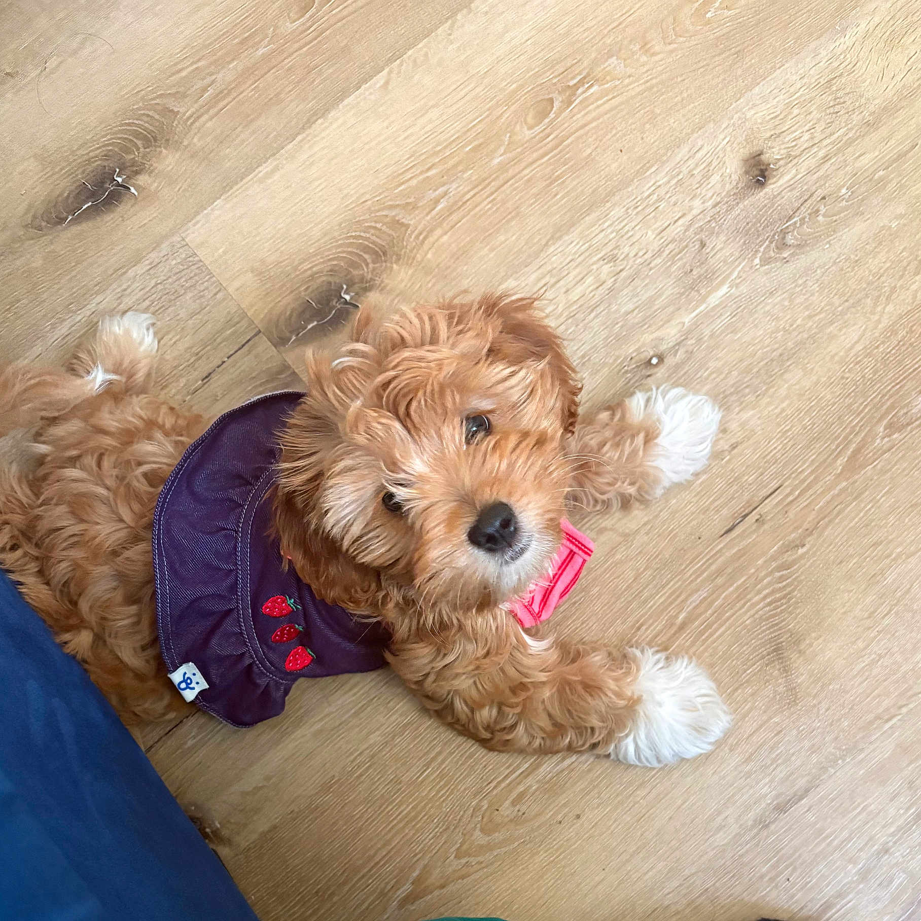 Rosa Louise Barks
