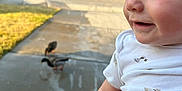 Izayah joined the competition — help win amazing prizes! baby, child, smiling, face, hand, person, ducks, bird, animal, outdoor, daylight, driveway, suburb, house, grass, clothing, white_shirt, holding, happy, nature