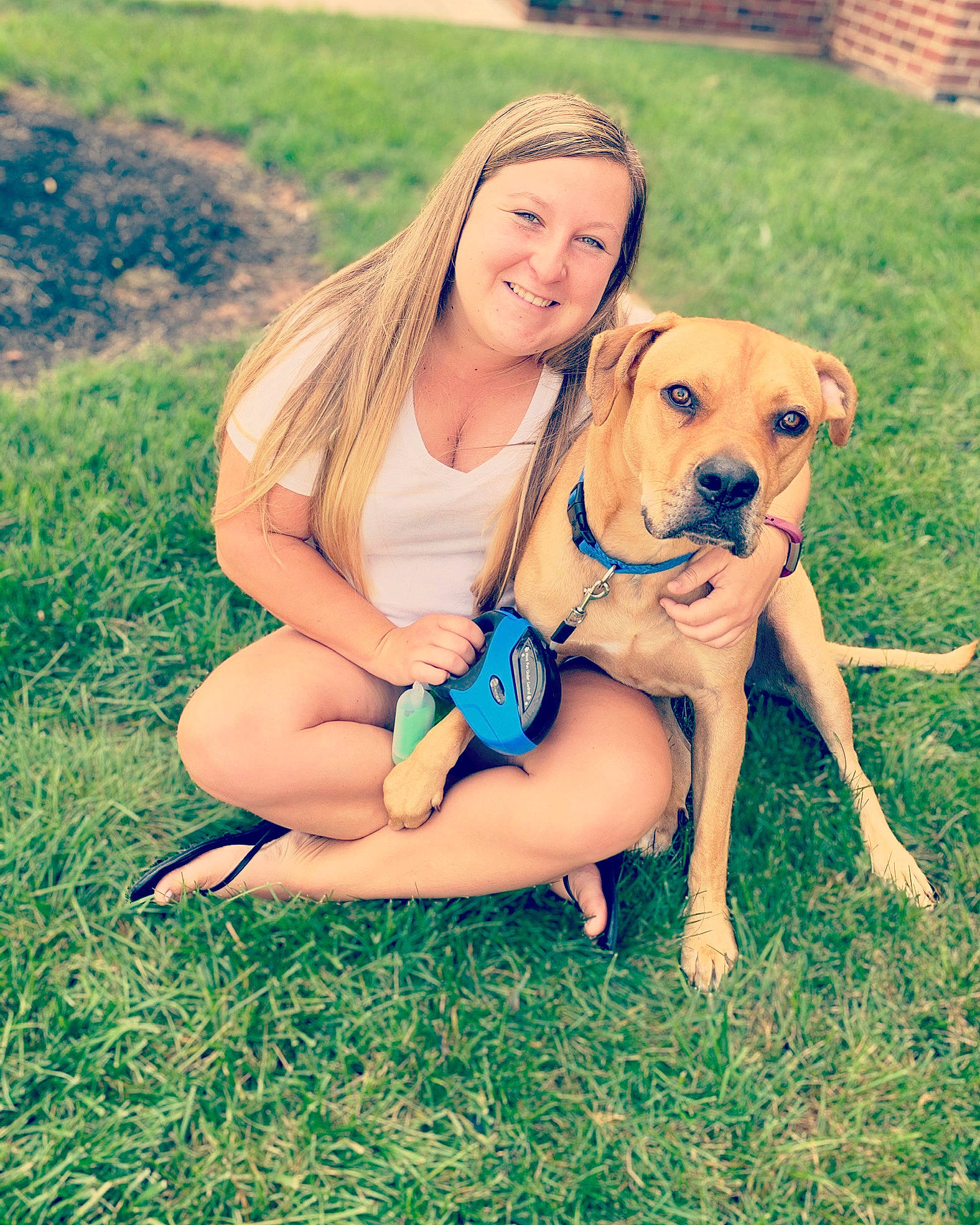 Chase joined the competition — help win amazing prizes! canidae, carnivore, companion_dog, dog, dog_breed, fawn, grass, mammal, people_in_nature, puppy_love, sporting_group, vertebrate