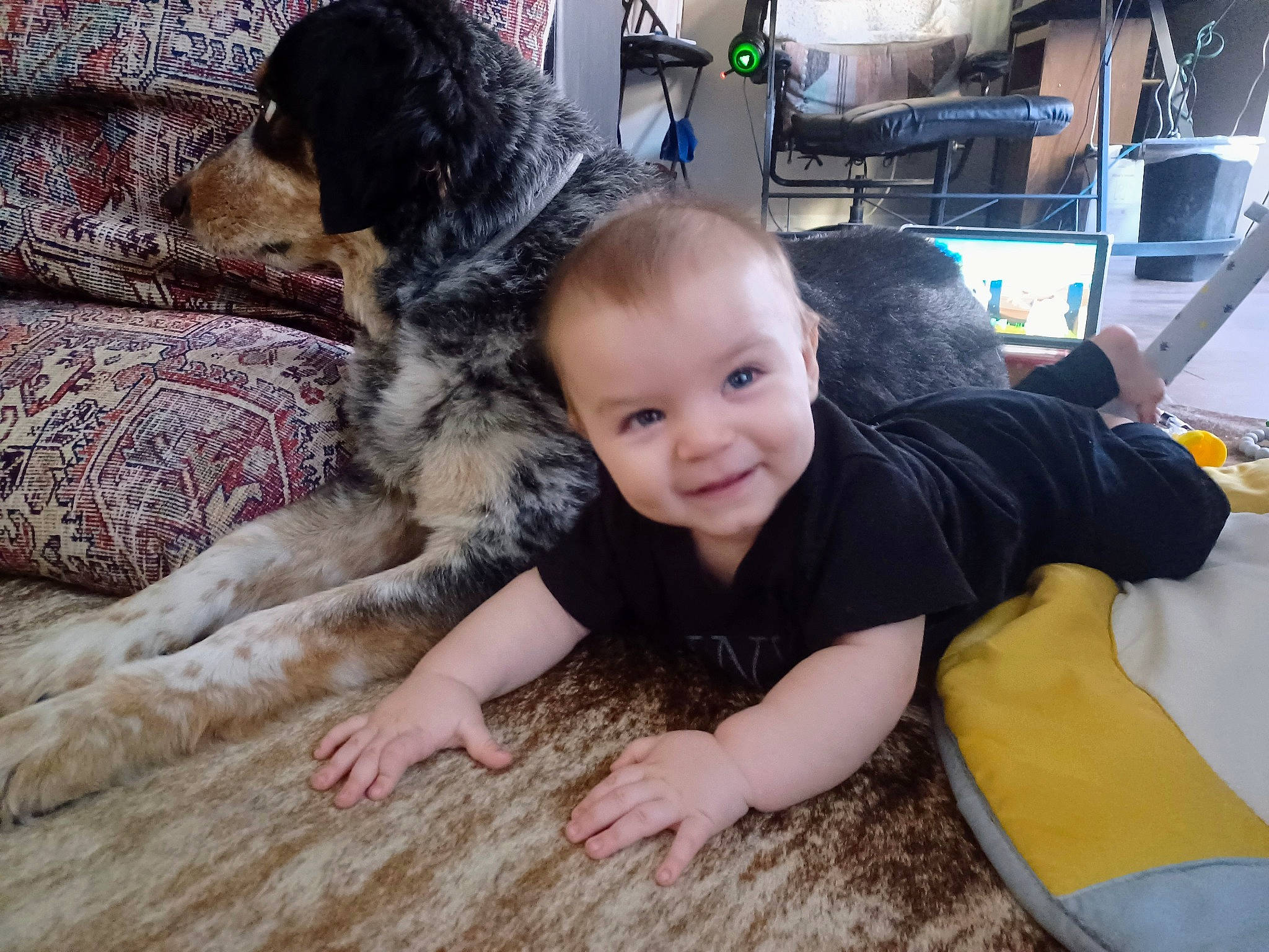 Jacob is registered to the contest to win money with this photo: carnivore, chair, child, comfort, companion_dog, computer_monitor, dog, dog_breed, floor, flooring, fur, happy, hardwood, joy, leisure, living_room, person, sitting, smile, t_shirt