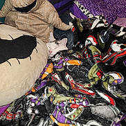 Gizmo is registered to the contest to win money with this photo: cat, sleeping, blanket, plush, pillow, bed, cozy, indoor, stuffed_toy, halloween, patterned_blanket, white_cat, gray_cat, soft_toy, resting, cute_pet, animal, comfort, snuggled, colorful