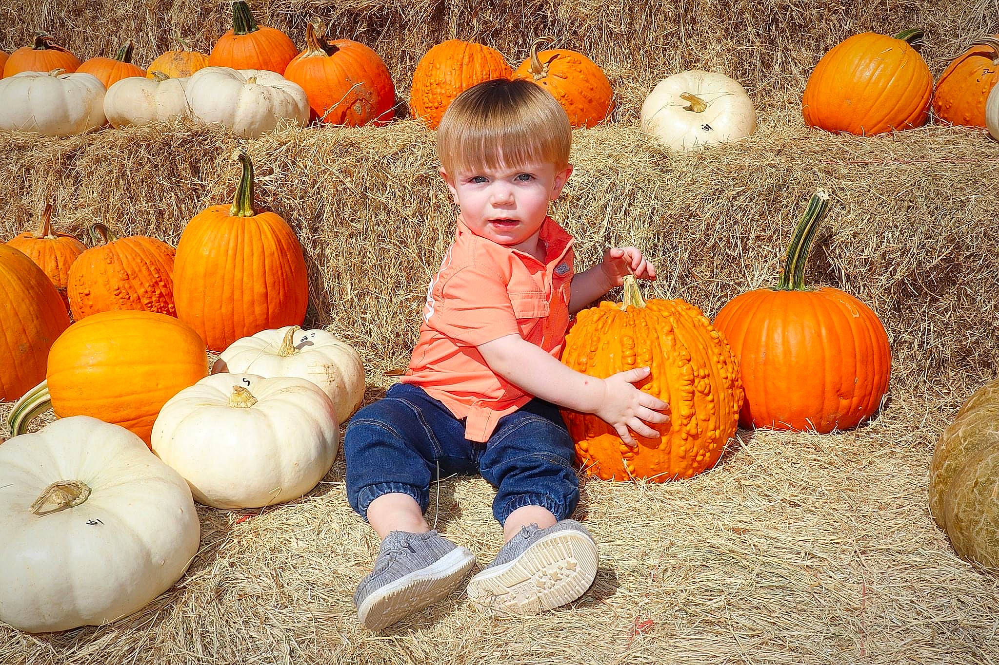 Grayson joined the competition — help win amazing prizes! calabaza, clothing, cucurbita, gourd, grass, leaf, local_food, natural_foods, nature, orange, people, people_in_nature, person, photograph, plant, pumpkin, squash, toddler, vegetable, whole_food