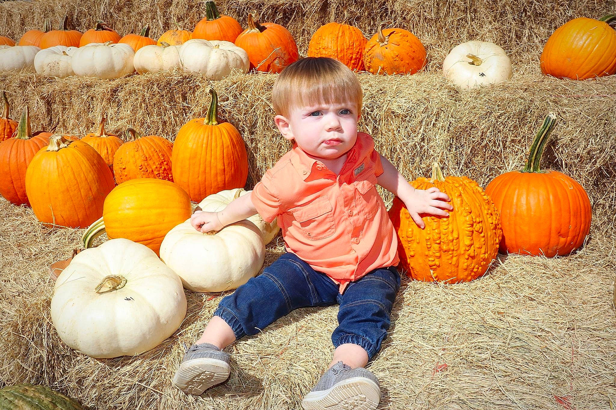 Grayson is registered to the contest to win money with this photo: calabaza, clothing, cucurbita, facial_expression, food, gourd, local_food, natural_foods, nature, orange, people, people_in_nature, person, photograph, plant, pumpkin, sorrow, squash, toddler, vegetable