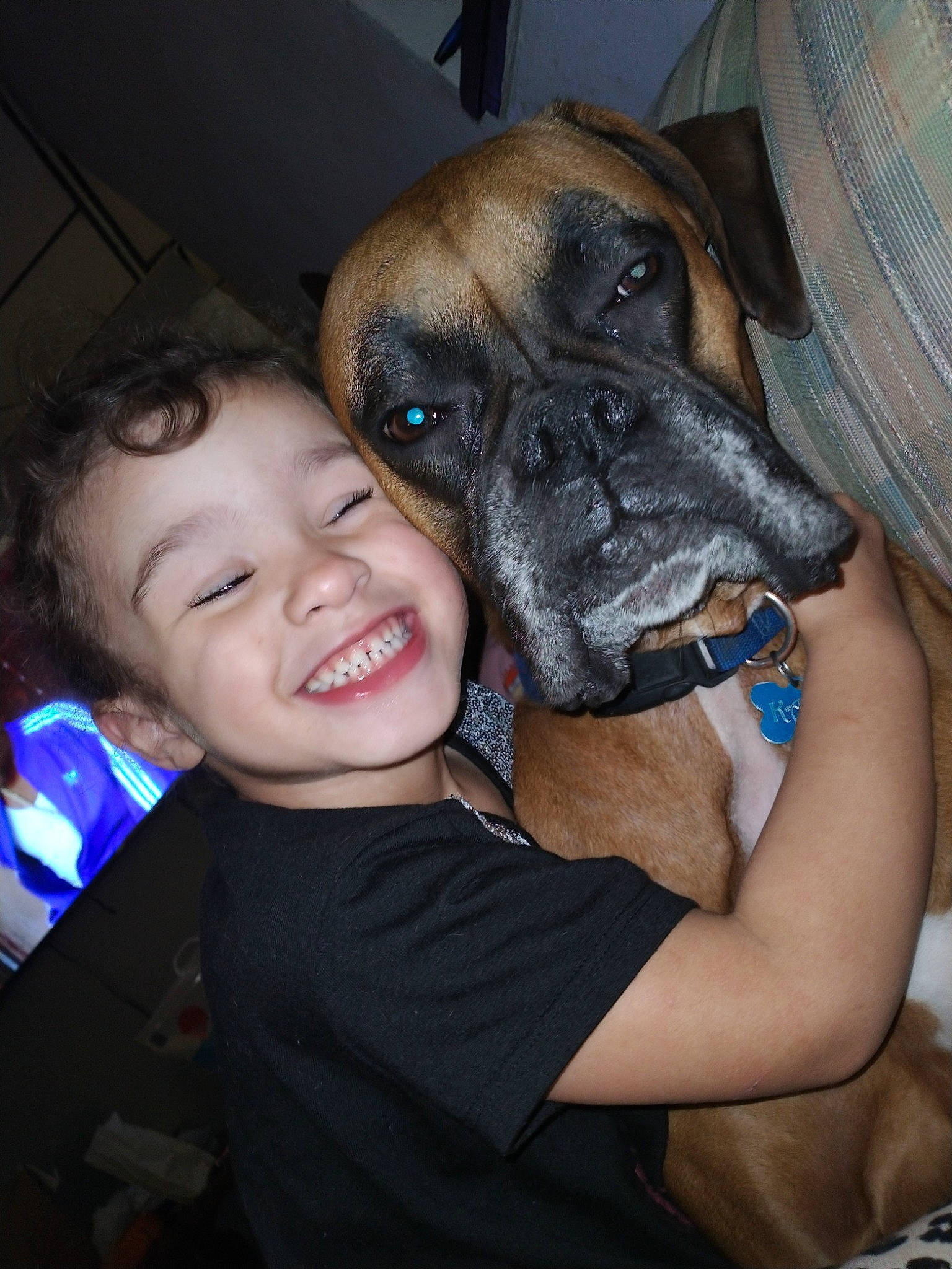 Lillianna is registered to the contest to win money with this photo: boxer, canidae, carnivore, comfort, companion_dog, dog, dog_breed, ear, event, fawn, flash_photography, guard_dog, happy, iris, joy, person, smile, snout, sporting_group, t_shirt