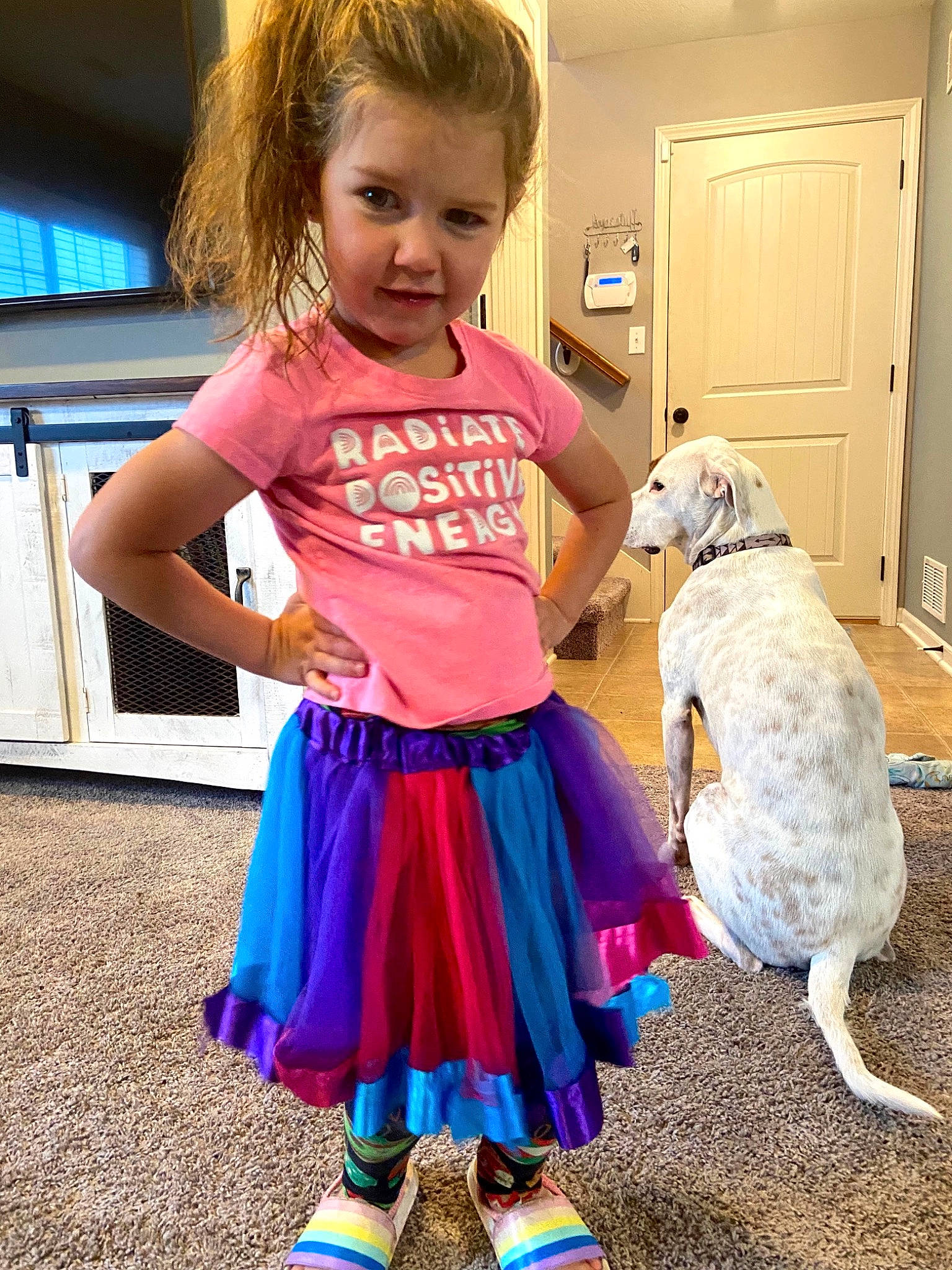 Hadlie is registered to the contest to win money with this photo: canidae, carnivore, child, costume, dog, dog_breed, dress, fawn, person, play, toddler