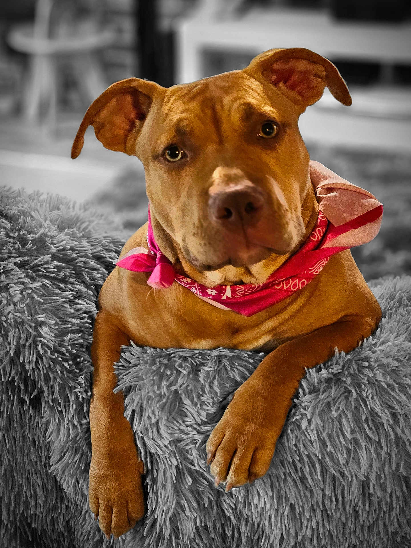 Athena