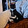 Chaussette