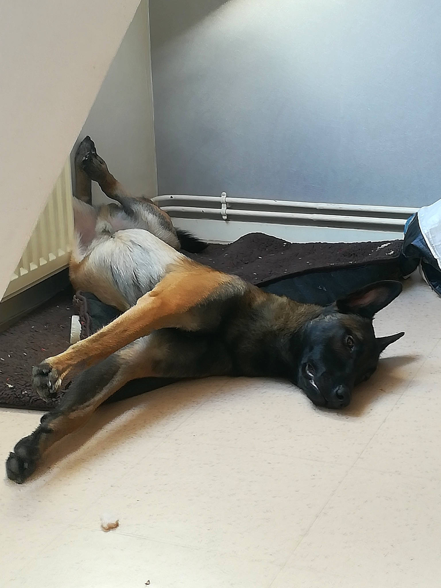 Oxford a rejoint le concours — aidez-le/la à gagner de superbes lots ! art, leg