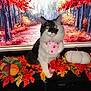autumn, bandana, black_and_white, cat, decor, fall, festive, forest, halloween, holiday, indoor, leaves, mantle, orange, painting, pink, plush, pumpkin, red, yellow