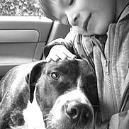 Bailey joined the competition — help win amazing prizes!