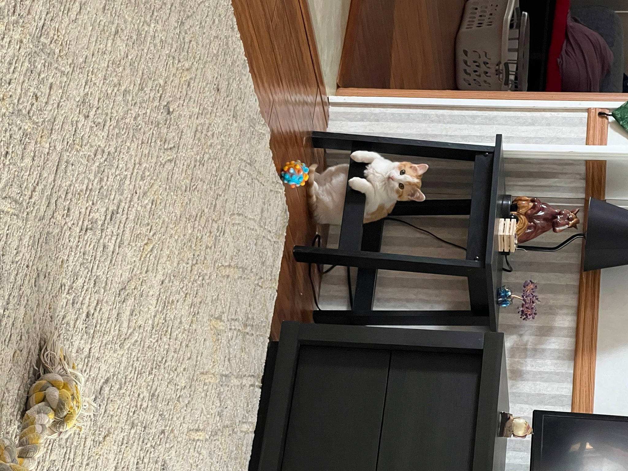 Sunny D is registered to the contest to win money with this photo: art, building, ceiling, chair, concrete, curtain, door, flooring, hardwood, home_door, house, plywood, room, shelving, stairs, table, wood, wood_stain