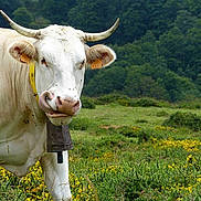 Marguerite a rejoint le concours — aidez-le/la à gagner de superbes lots !