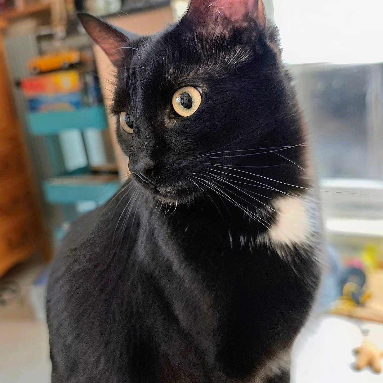 Tom