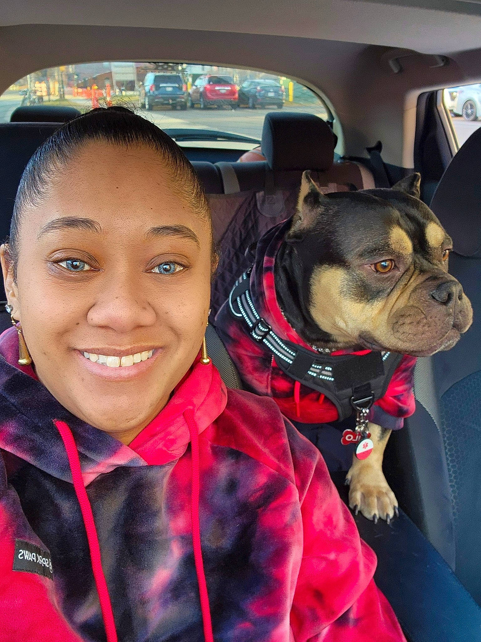 Kilo joined the competition — help win amazing prizes! carnivore, collar, companion_dog, dog, dog_breed, dog_collar, fashion_accessory, fawn, fur, guard_dog, happy, leash, personal_protective_equipment, selfie, skin, smile, snout, toy_dog, whiskers, working_animal