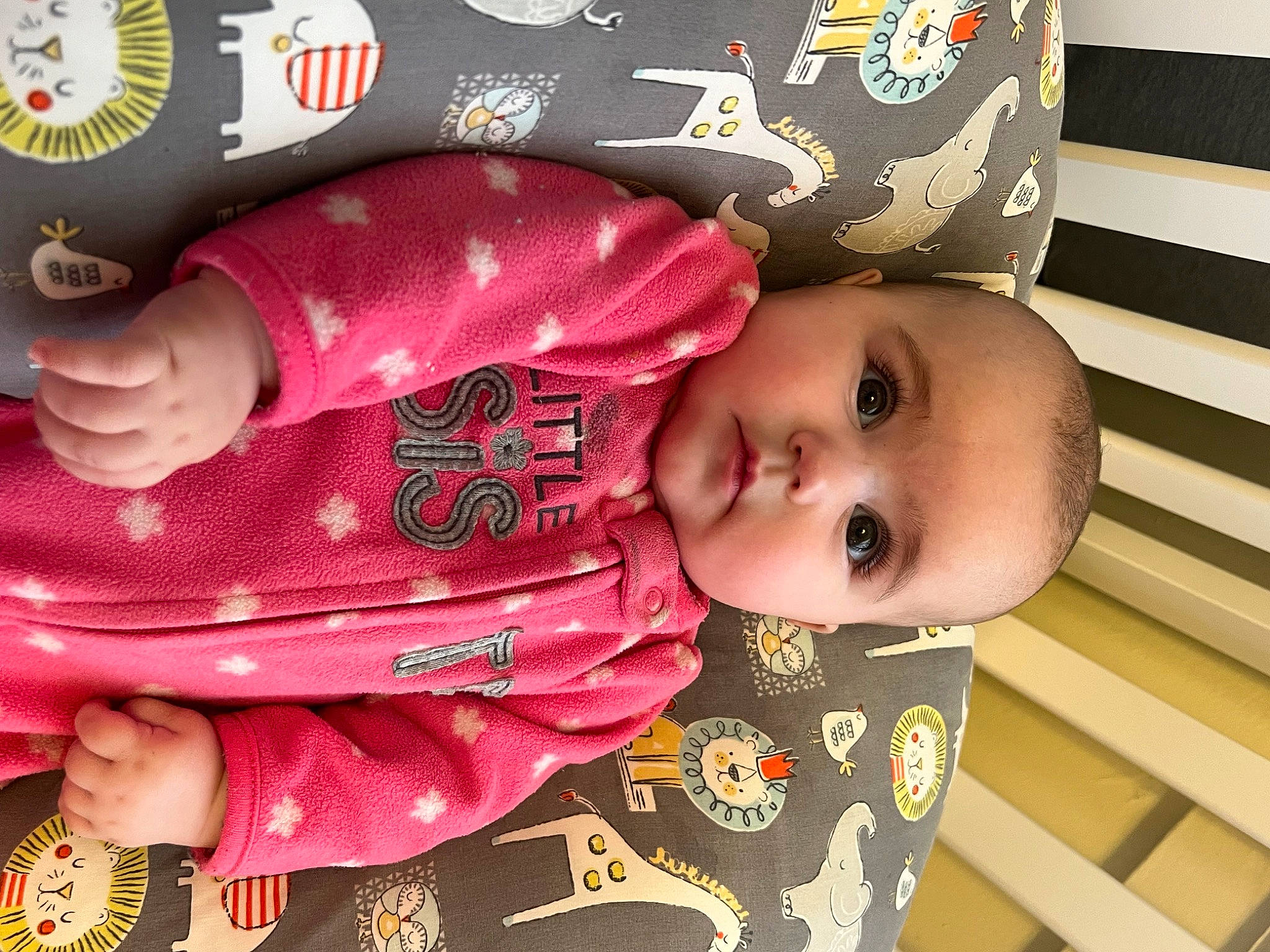 Gracelynn is registered to the contest to win money with this photo: baby, baby_products, baby_safety, baby_toddler_clothing, carmine, cheek, child, eyelash, face, happy, magenta, pattern, person, pink, product, room, skin, sleeve, toddler, wood