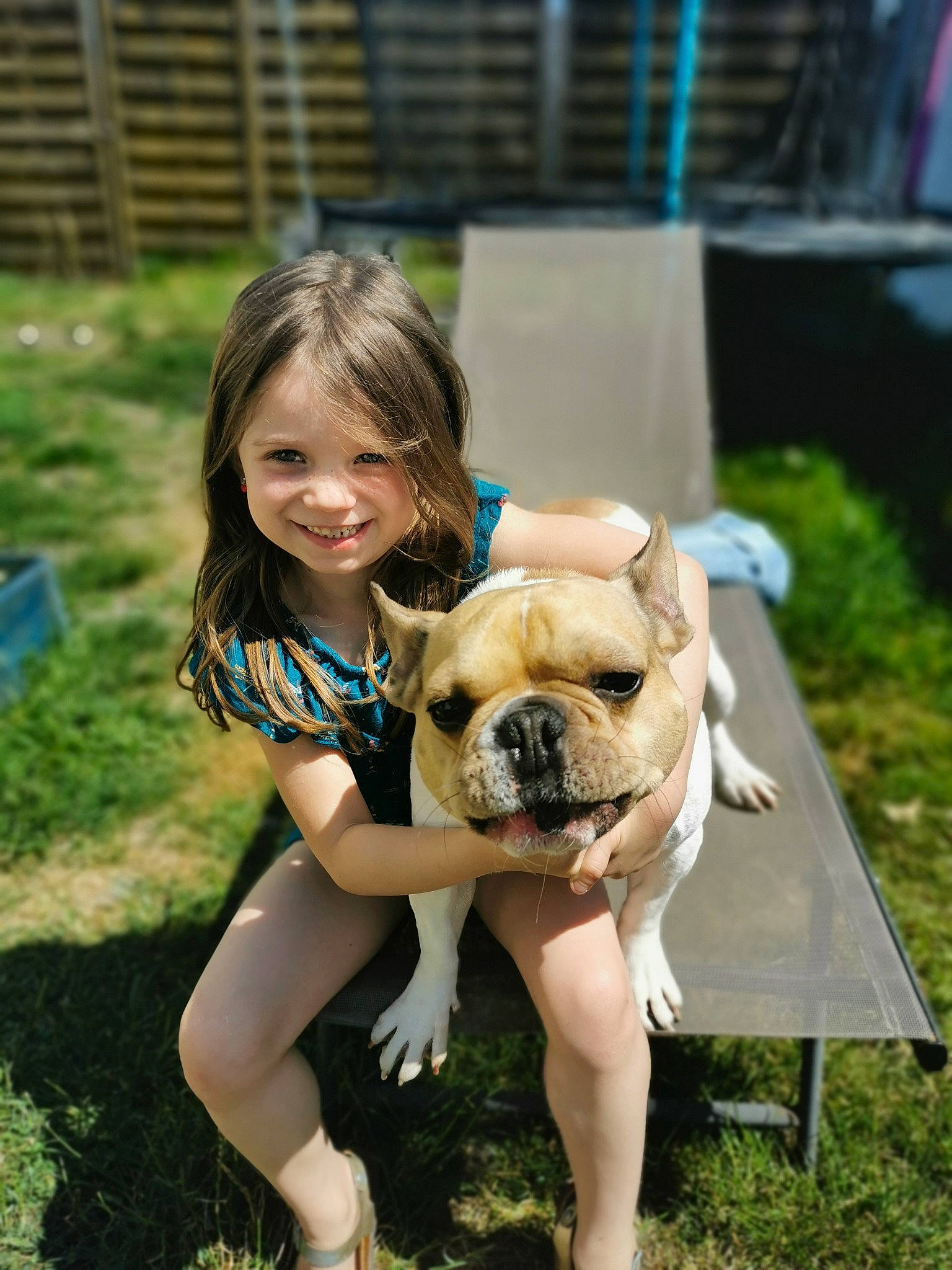 Victoire a rejoint le concours — aidez-le/la à gagner de superbes lots ! australian_bulldog, bulldog, canidae, carnivore, companion_dog, dog, dog_breed, fawn, french_bulldog, grass, joy, mammal, non_sporting_group, person, pug, skin, snout, toy_bulldog