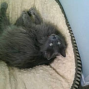 Dusty is registered to the contest to win money with this photo: