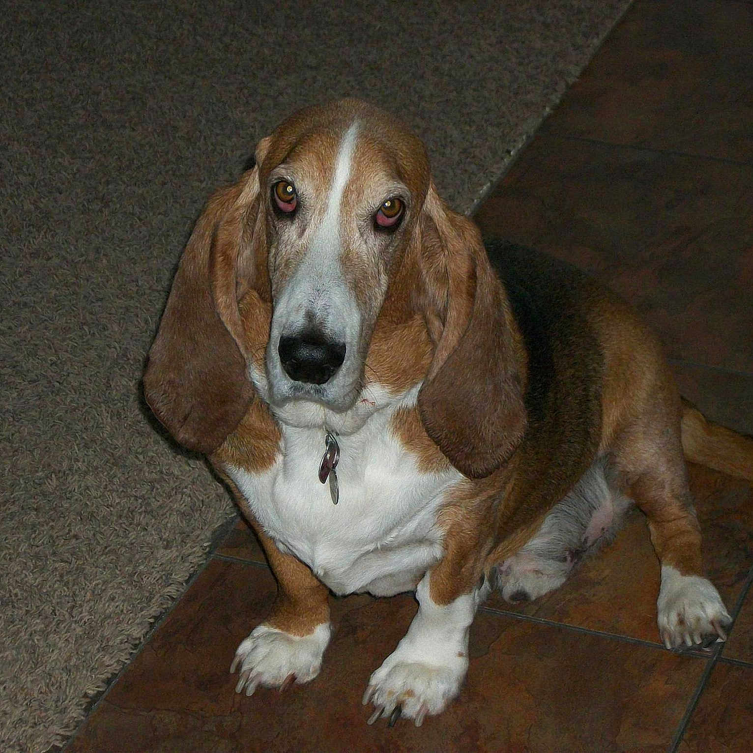 Riley is registered to the contest to win money with this photo: