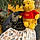 Winnie