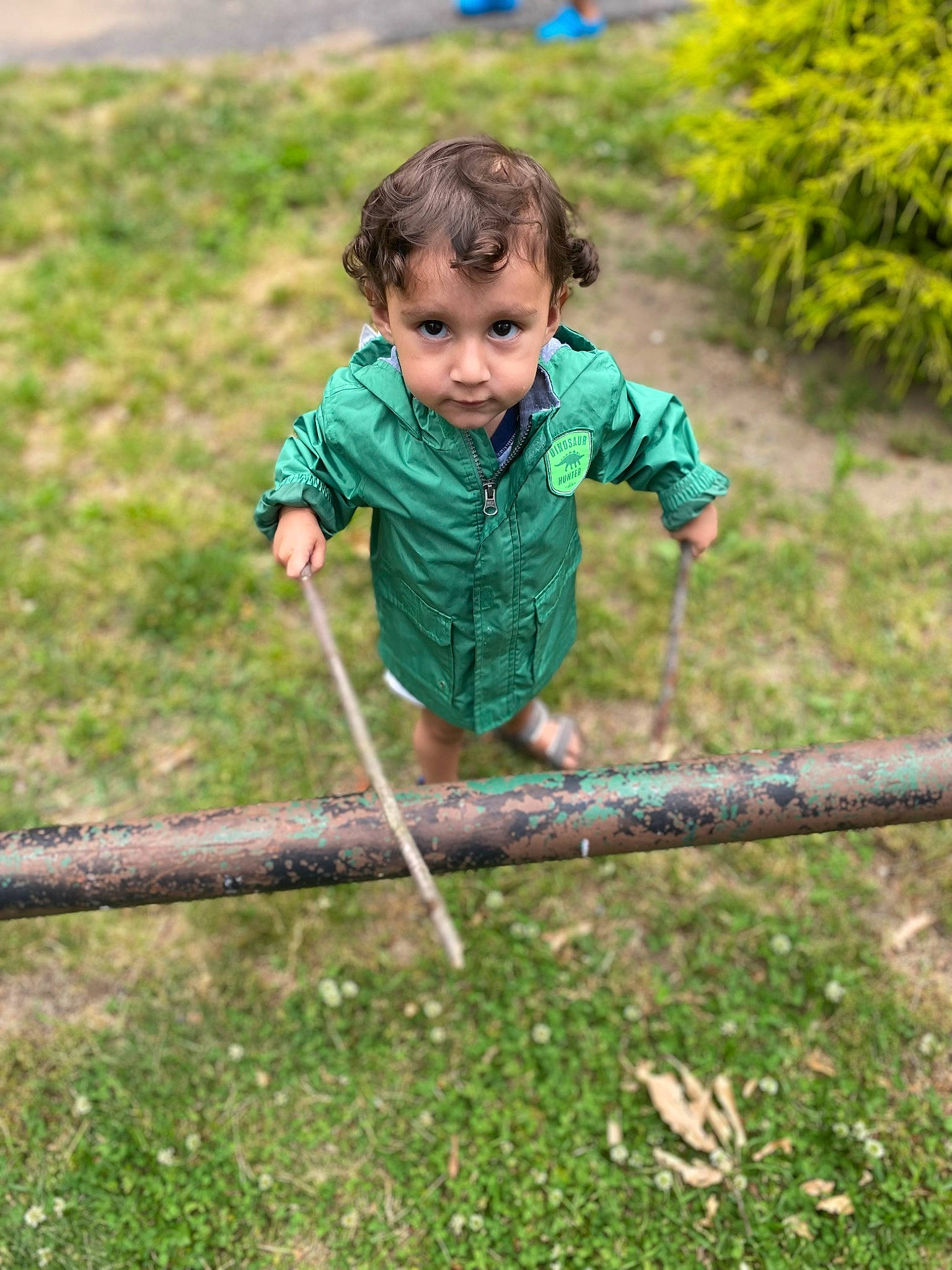 Cameron Elias joined the competition — help win amazing prizes! baby, baby_toddler_clothing, child, fun, grass, grass_family, grassland, happy, landscape, lawn, leaf, leisure, meadow, people_in_nature, person, plant, recreation, soil, toddler, tree