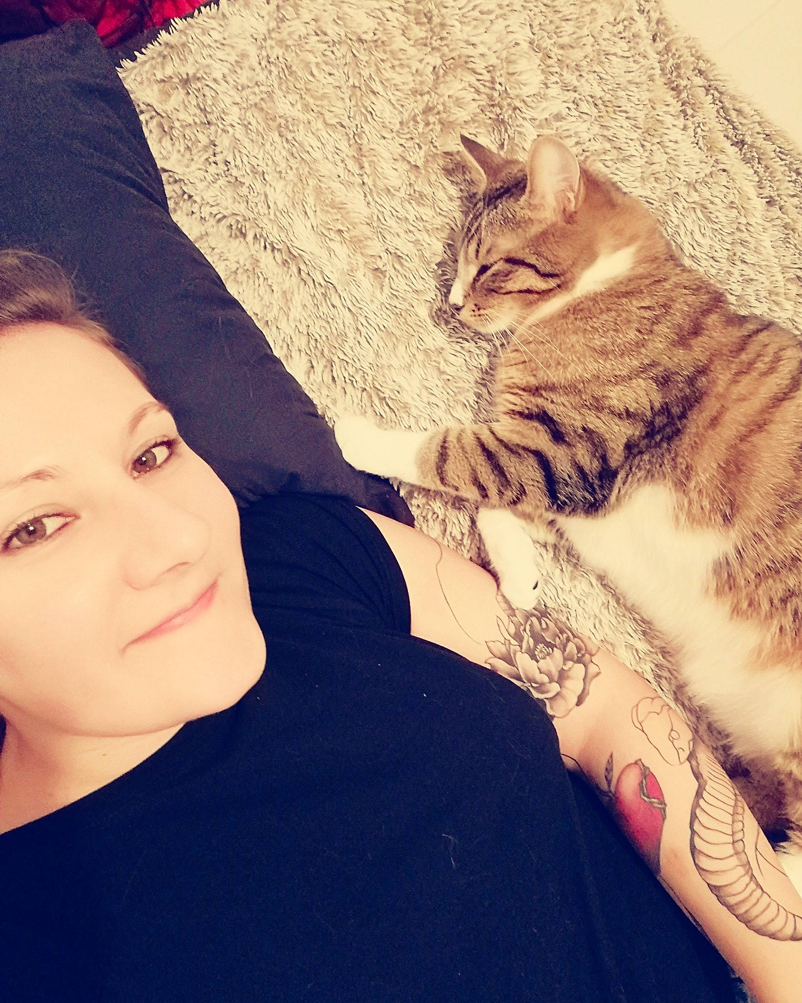 Sancho a rejoint le concours — aidez-le/la à gagner de superbes lots ! arm, beauty, cat, cool, ear, eye, face, facial_expression, felidae, hair, head, leg, nose, organ, selfie, shoulder, skin, small_to_medium_sized_cats, tabby_cat, whiskers