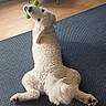 dog, white_dog, toy, carpet, indoor, wooden_floor, relaxed_pose, pet, animal, furry, tail, looking_back, playful, paw, home, furniture, cute, pet_toy, floor, canine