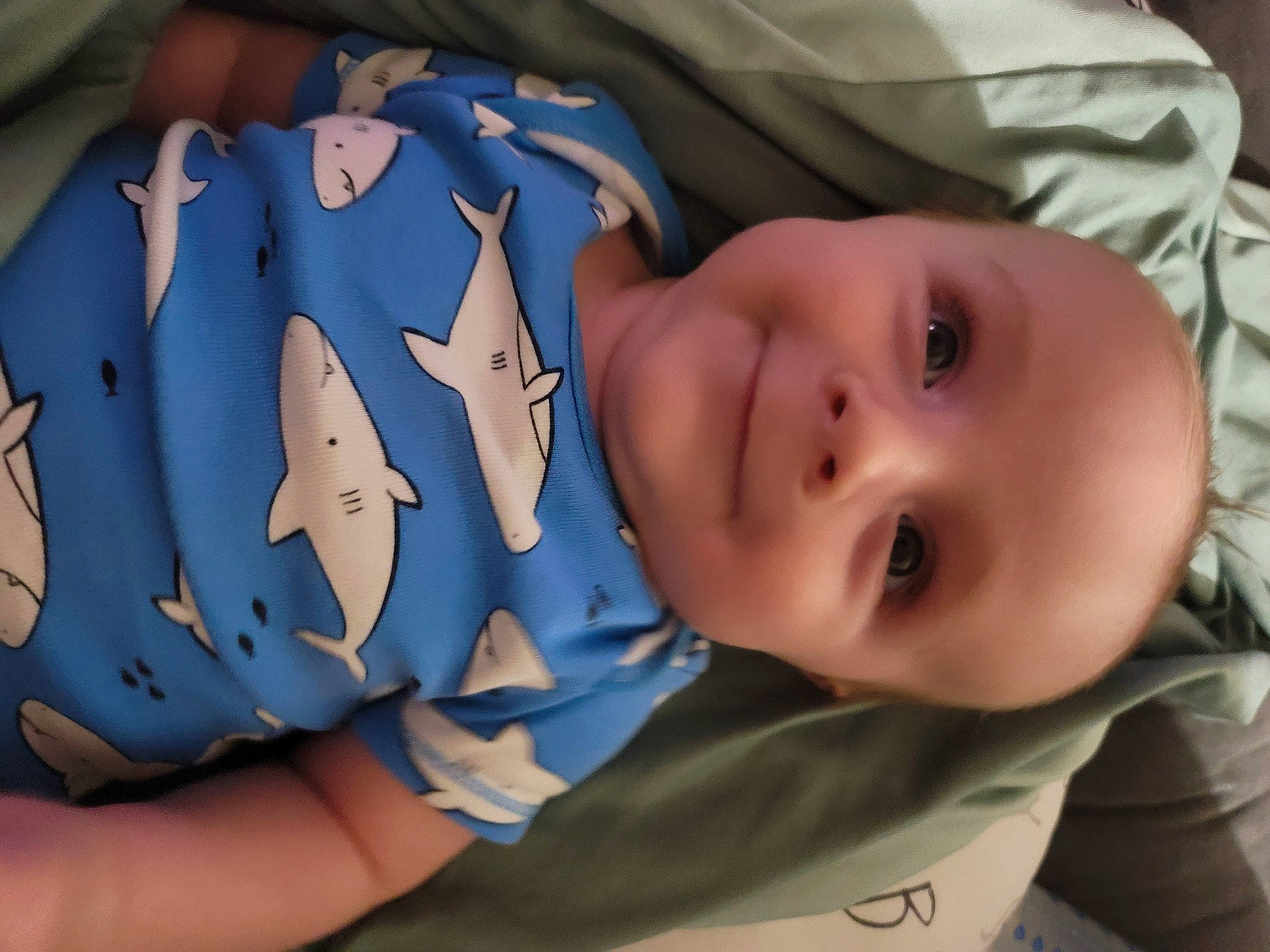 Dax joined the competition — help win amazing prizes! baby, baby_toddler_clothing, cheek, child, comfort, eye, face, facial_expression, finger, head, iris, joy, mammal, nose, person, product, skin, sleeve, smile, textile