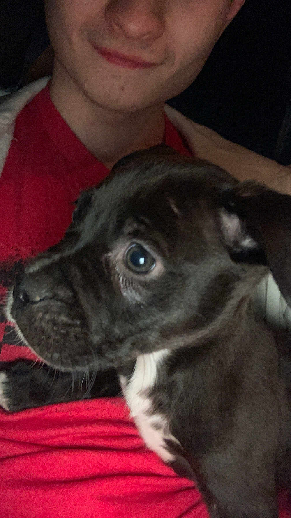 Zoey Lynn is registered to the contest to win money with this photo: puppy, dog, person, face, smile, red_shirt, black_and_white, close_up, pet, indoor, young_dog, friendly, cute, animal, portrait, companion, cuddle, fur, young, expression
