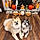 Nymeria And Arya
