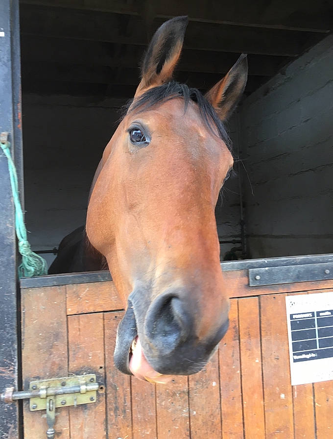 Alizé De St Fergeux