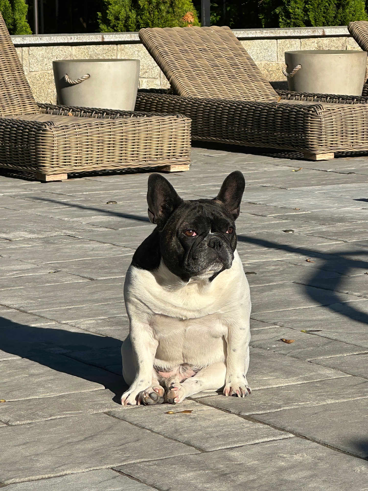 George