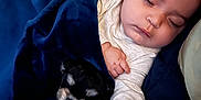 Tank joined the competition — help win amazing prizes! baby, blanket, blue, child, comfort, cozy, cuddle, cute, dog, fur, hand, indoor, nap, nap_time, peaceful, puppy, relaxation, rest, sleeping, soft