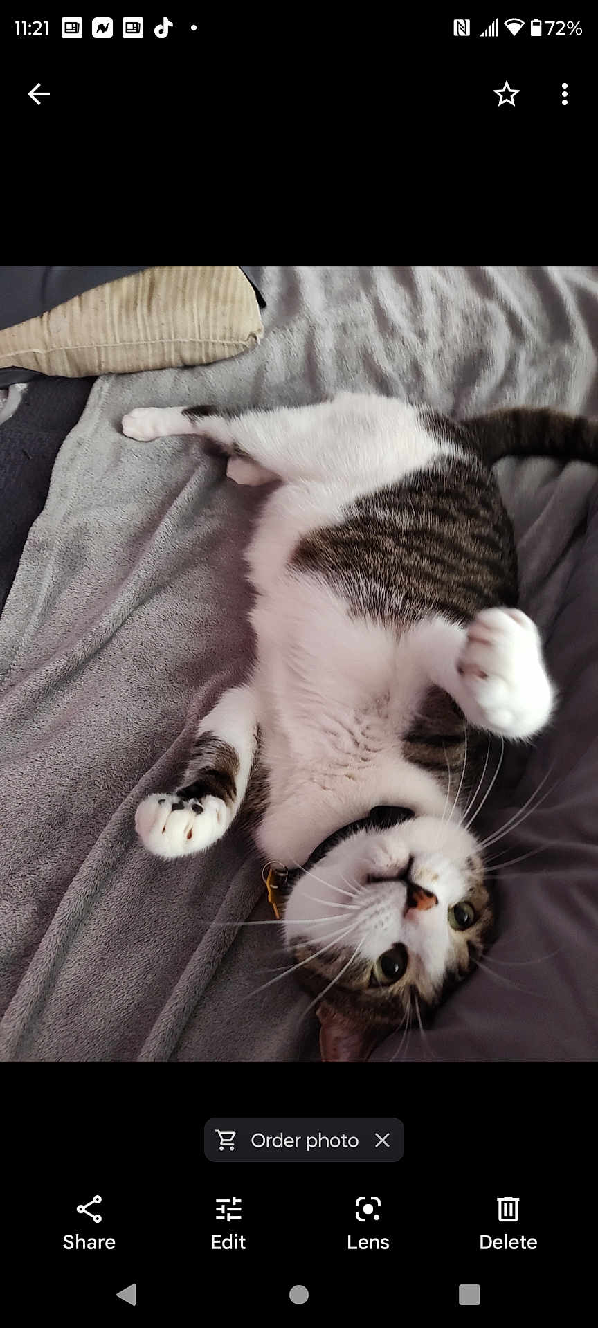 Max