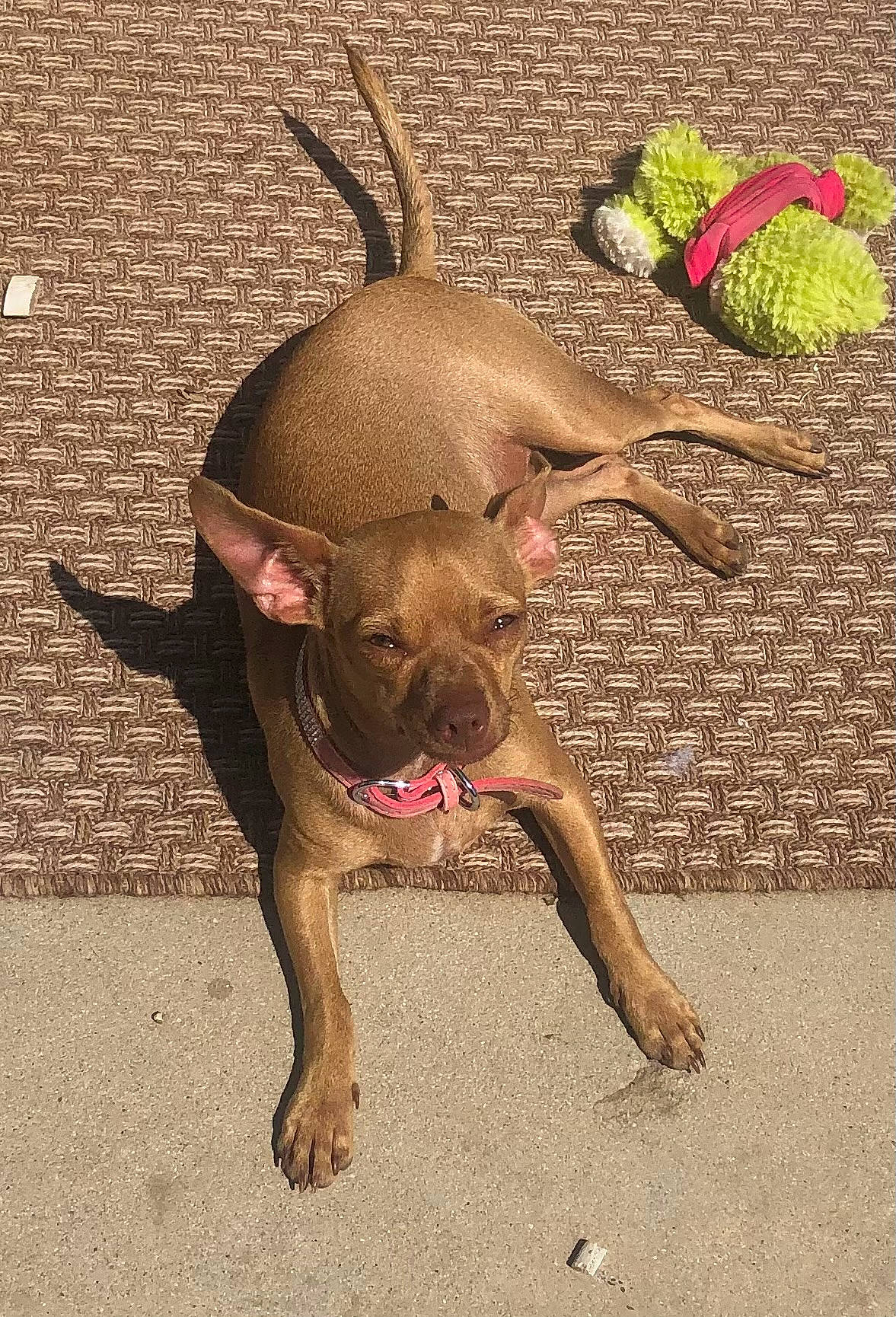 Precious