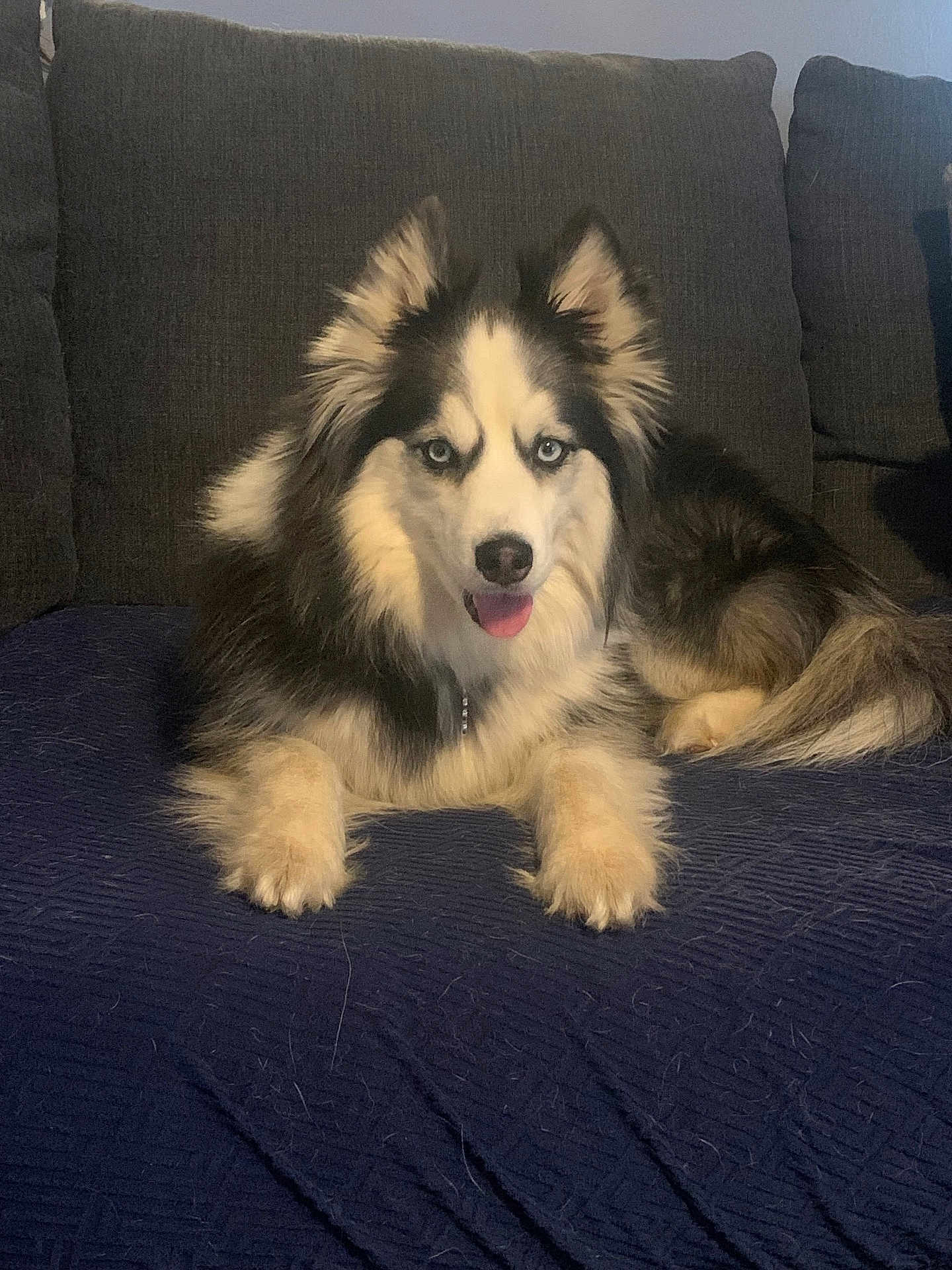 Mia