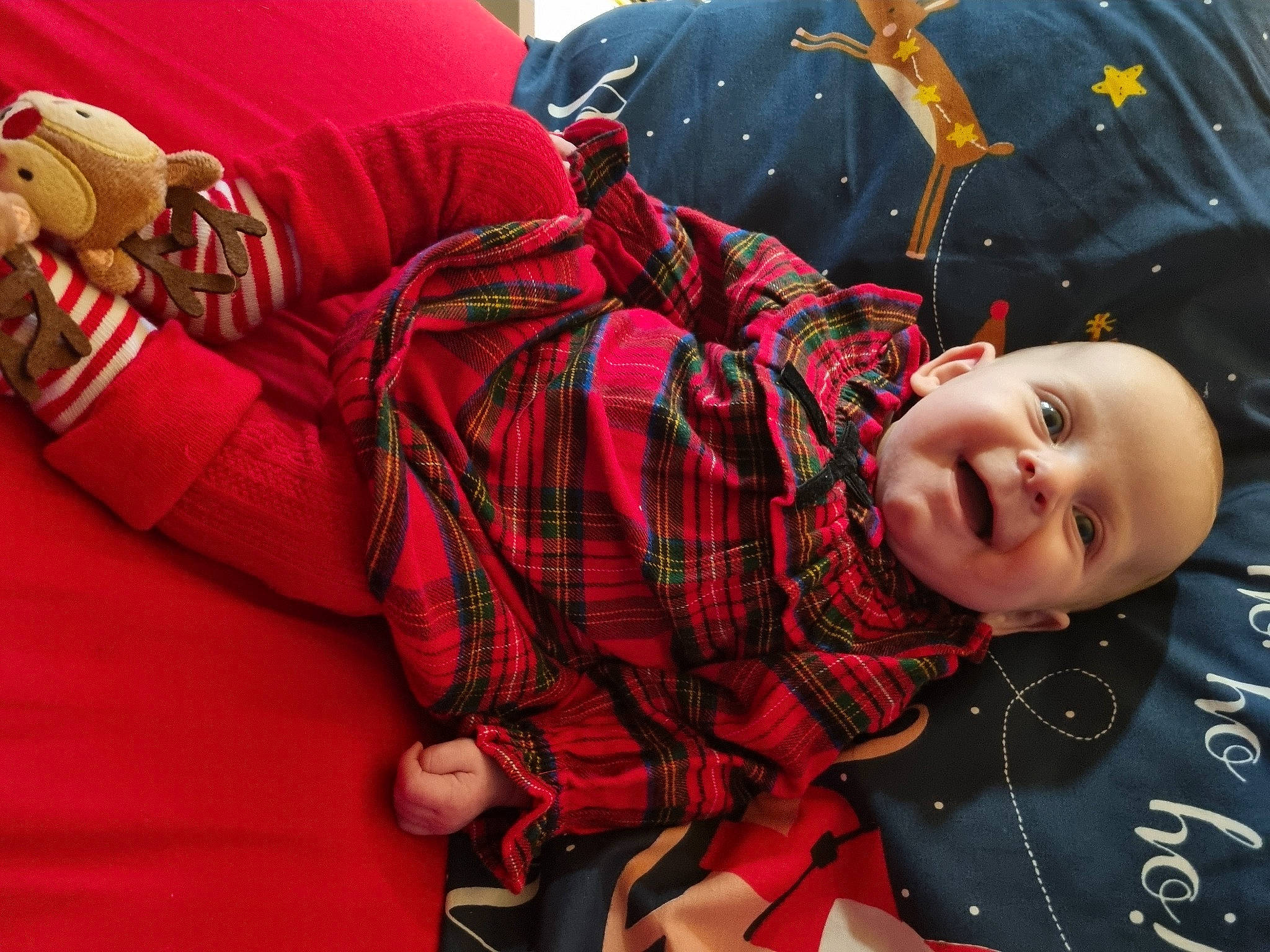 Hallie joined the competition — help win amazing prizes! bag, carmine, child, comfort, event, fun, happy, human_leg, luggage_and_bags, pattern, people, person, plaid, red, sitting, sleeve, smile, tartan, textile, thigh
