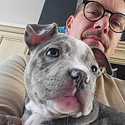 Prada a rejoint le concours — aidez-le/la à gagner de superbes lots ! man, glasses, puppy, dog, pet, closeup, face, indoor, person, young_adult, casual_clothing, beige_sweater, cute, animal, friendship, companion, portrait, home, cuddle, affection