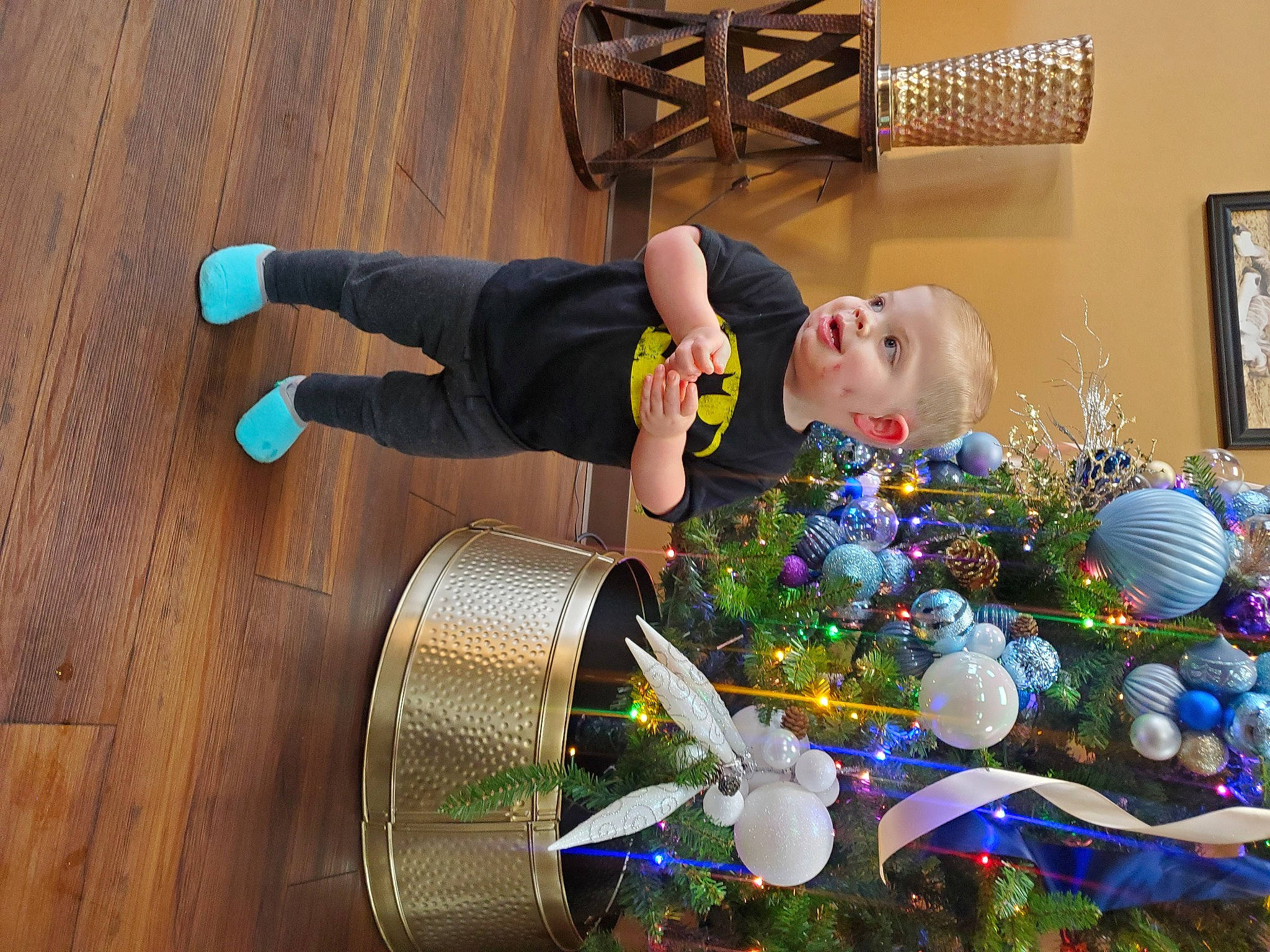 Barrett joined the competition — help win amazing prizes! child, christmas_ornament, event, fir, fun, happy, hardwood, holiday, holiday_ornament, leisure, ornament, party, party_supply, person, picture_frame, plastic, plastic_bottle, thigh, tree, wood