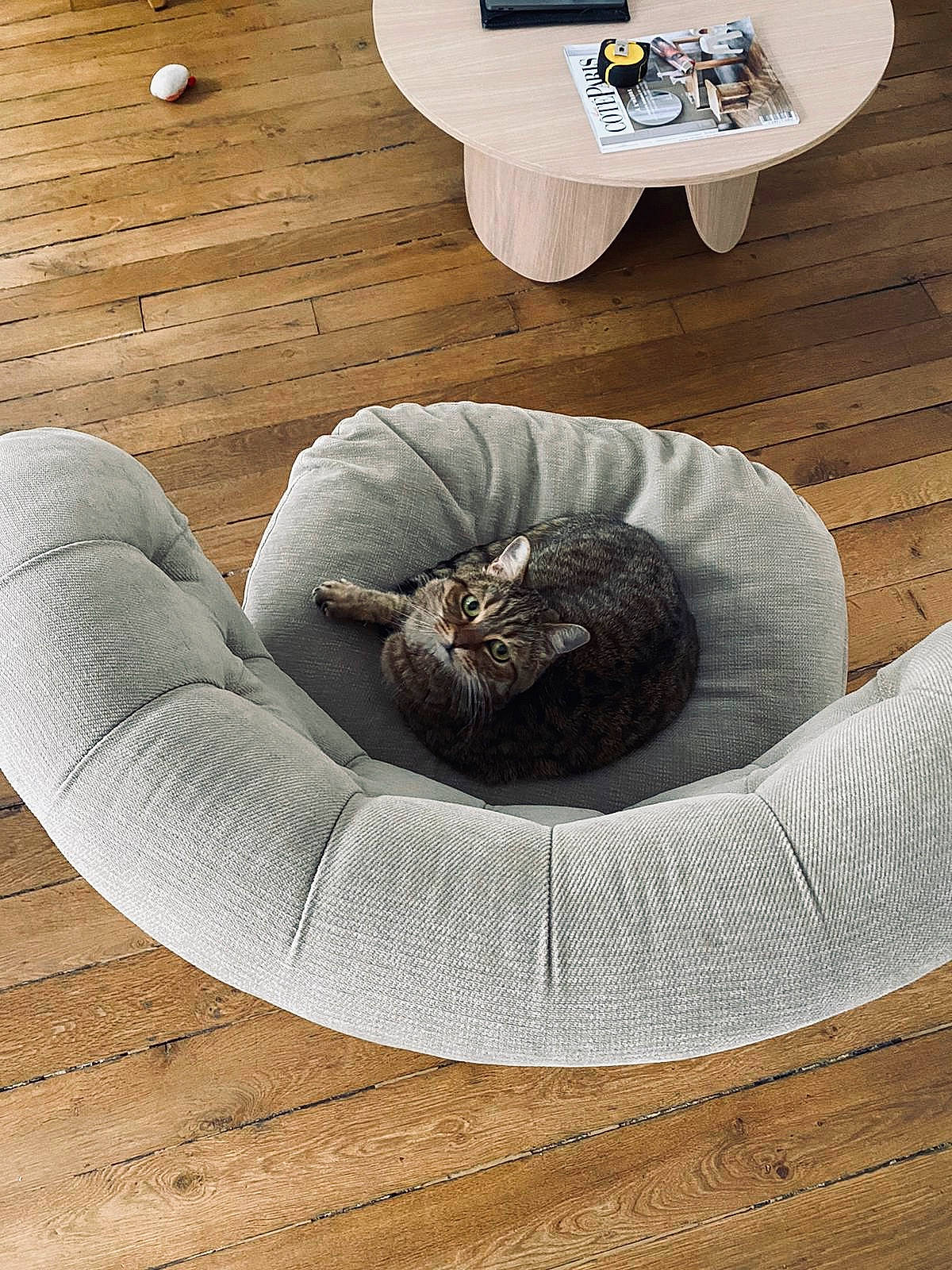 Illico a rejoint le concours — aidez-le/la à gagner de superbes lots ! coffee_table, floor, flooring, furniture, laminate_flooring, room, table, wood, wood_flooring