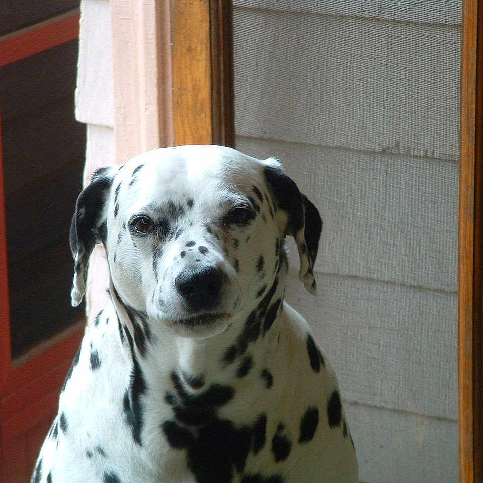 Morgan joined the competition — help win amazing prizes!