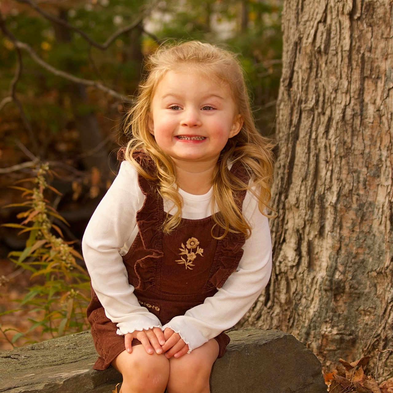 Cadence is registered to the contest to win money with this photo: child, girl, smiling, portrait, outdoors, autumn, forest, woodland, tree, tree_trunk, fallen_leaves, brown_dress, white_shirt, blonde_hair, sitting, rock, nature, golden_light, happy, fashion