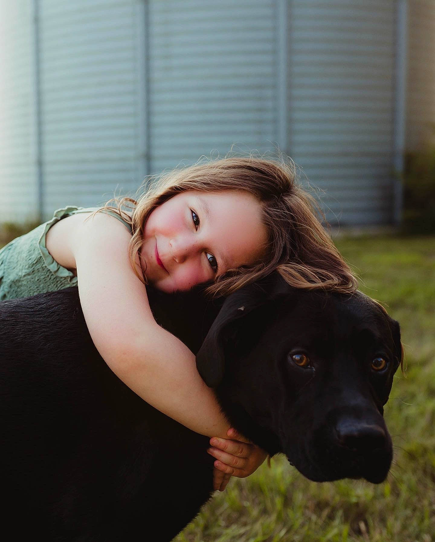 Bristol joined the competition — help win amazing prizes! black_hair, brown_hair, companion_dog, dog, dog_breed, eye, fawn, flash_photography, grass, guard_dog, gun_dog, happy, jewellery, joy, long_hair, person, plant, portrait_photography, sitting, sporting_group